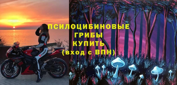 прущие грибы Алексин