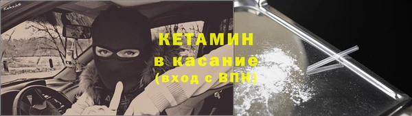 прущие грибы Алексин