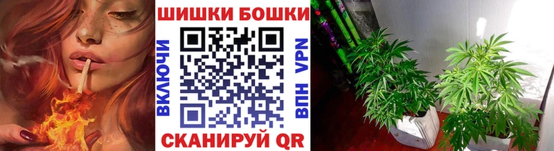 Бошки Шишки MAZAR Биробиджан